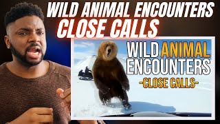 Brit Reacts To AMAZING ANIMAL ENCOUNTERS - CLOSE CALLS!