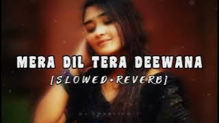 MERA DIL TERA DEEWANA [SLOWED REVERB]☺️☺️ #aaablautchalen #alkayagnik #qualityofsound #90severgreen