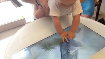 INOVI Round Table Top - Multi Touch Surface