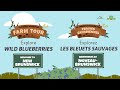 Great canadian farm tour s3 episode 6  wild blueberries in new brunswick with aitcnb