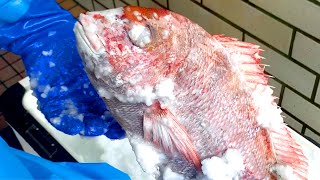 生きた魚が瞬間凍結⁈ マイナス21℃の特殊な氷に生きた魚を入れた結果 【究極の活け締め】