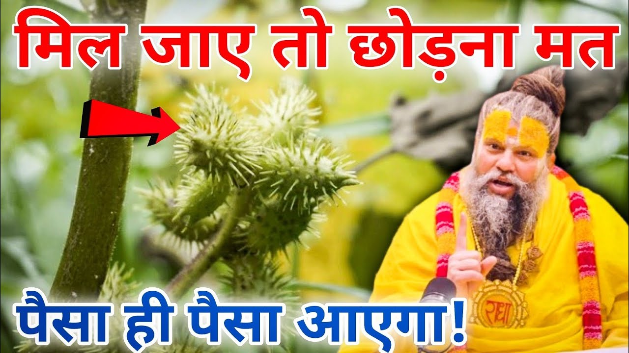 जब लाखों की दवाइयाँ भी फेल हो जाएँ… तब ये उपाय करें, फिर देखिए पैसा ही पैसा आएगा | Geeta Gyan Talks