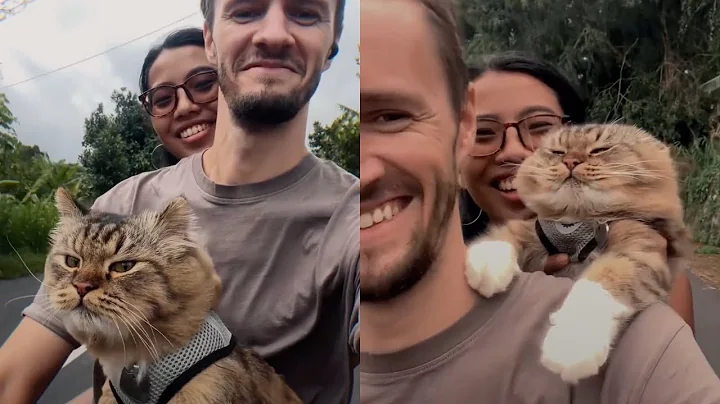 They Didn't Like Cats, Until They Found One That Loves Motorbikes! 🥰