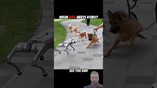 #RobotVsDog #RobotVsCat #DogAttack #CatAttack #RobotShorts #FunnyShorts #ViralShorts #AnimalVsRobot#