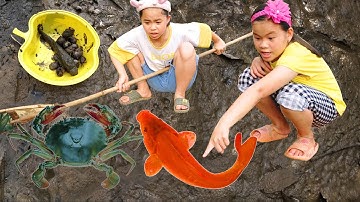 Lộc TiVi Dọn bể Tìm thấy nhiều Cá, Cua, Ốc | Found Crab, Fish, Snail