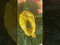 রুই মাছের পাতুরি🧆🤤# Shorts  # Viral Shorts #food # Toi Macher patori