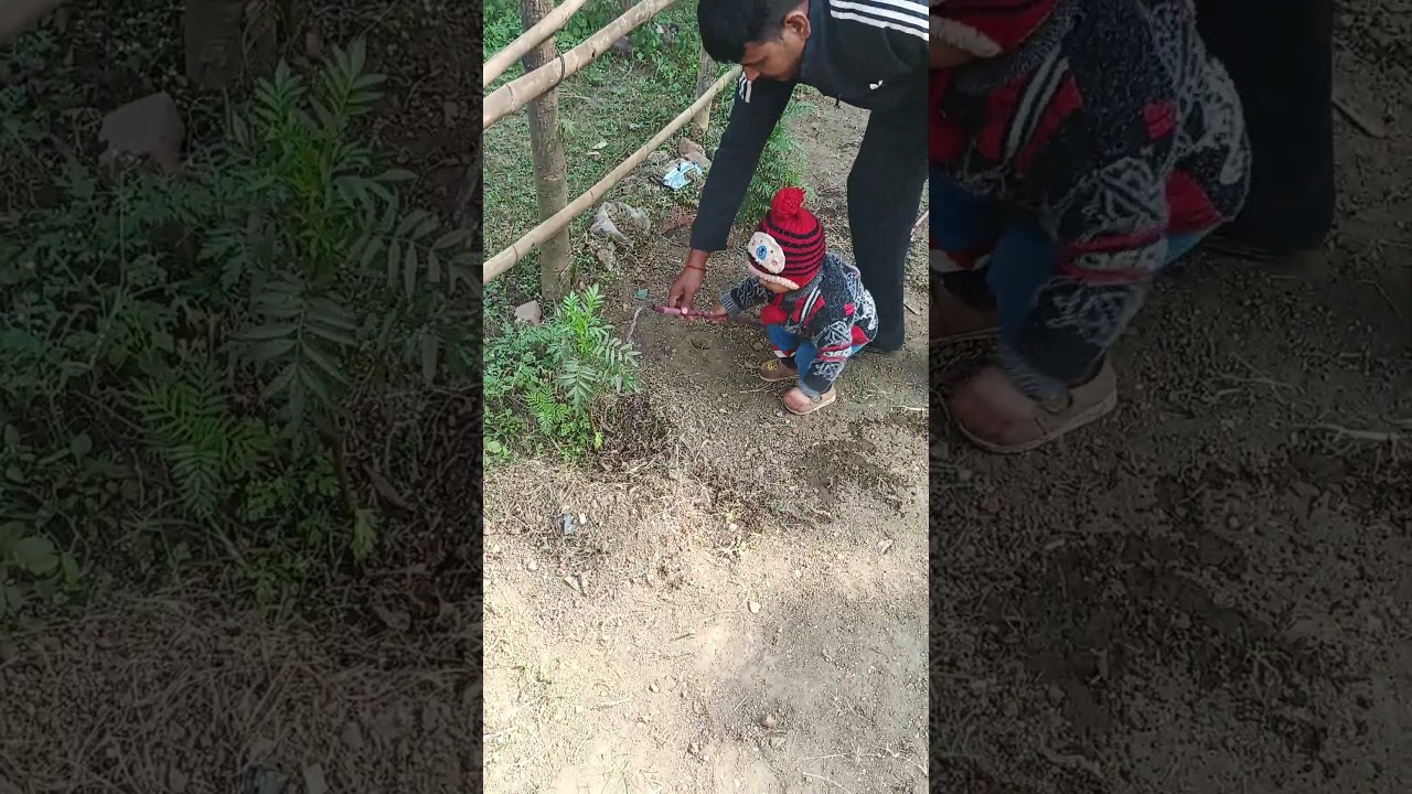 Plant Nurturing ☘️