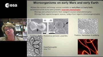 Biosignatures of microbial life (early Earth) and the search for life on Mars