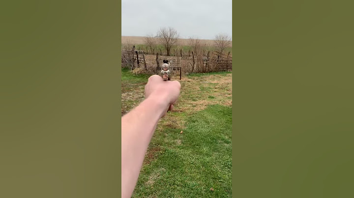 Benjamin E9 Test Fire