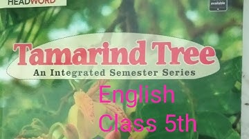 Class 5th  chapter 1   English   Waiting at the Window chapter explanation