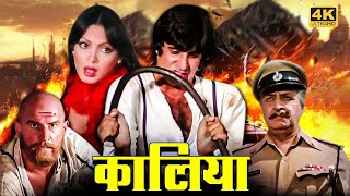 Vintage Amitabh Bachchan Action Movie - Kaalia (1981) -  Parveen Babi, Kader Khan, Amjad Khan, Pran Thumb