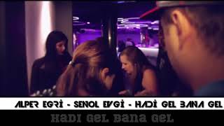 Şenol Evgi - Hadi Gel (Remix) Resimi