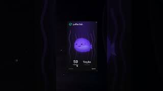 Free Plugin for BASS 🔥🤯