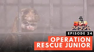 Godzilla Island Episode #24: Operation Rescue Junior