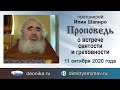 Проповедь о встрече святости и греховности (2020.10.11). Протоиерей Илия Шапиро