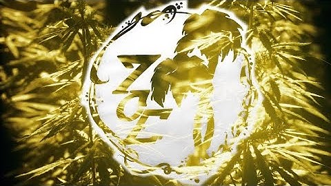 On The Road - Type1ne (Video)