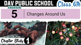 Chapter 5 | Changes Around Us | Class 6 DAV Science | Full Chapter | (Briefly Explained) 🔥🔥🔥