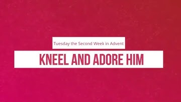 Kneel and Adore Him: Tuesday the Second Week of Advent