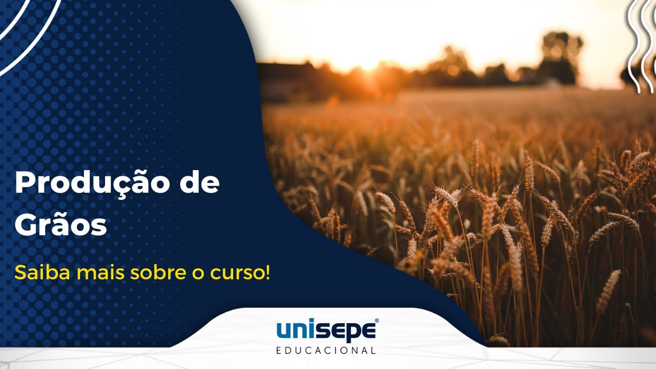 Saiba mais sobre o curso de Produção de Grãos
