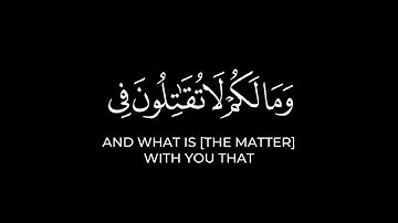 وما لكم لا تقاتلون في سبيل الله | محمد اللحيدان كرومات قرآن شاشة سوداء سورة النساء كروما ايات قرانية