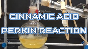 CINNAMIC ACID, PERKIN REACTION.#ncchem