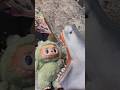 Shark Puppet Opens Labubu Shark Puppet Opens Labubu