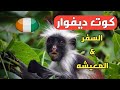 السفر الى كوت ديفوار ساحل العاج السفر الى كوت ديفوار ساحل العاج
