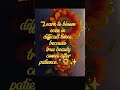 Bloom Through the Storm | Powerful Motivation 🌻 #shortvideo #Motivation #Inspiration #LifeQuotes