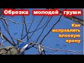 ОБРЕЗКА молодой ГРУШИ, исправляем крону