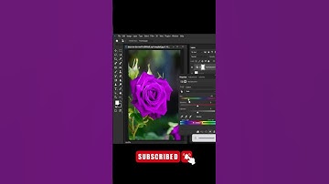 change rose color in photoshop | #photoshop |#shorts | #short