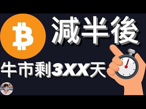 🚨比特幣牛市只剩XXX天！ 減半｜區塊高度｜減半暴跌[行情4/21][字幕][建議兩倍速]