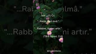 Rabbim İlmimi Arttır