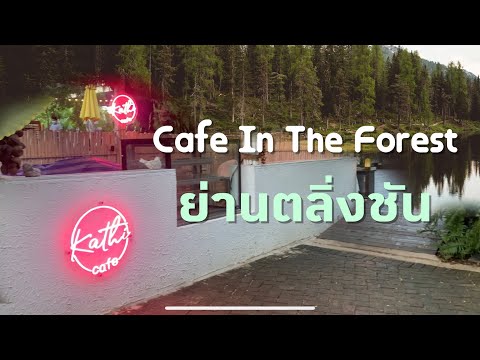 กะทิ : คาเฟ่กลางป่าย่านตลิ่งชัน ( Kathi : Cafe in the forest)