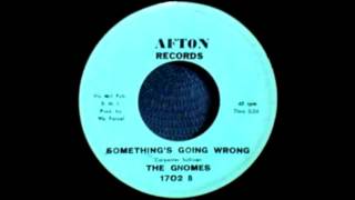 The Gnomes - Something&#39;s Going Wrong