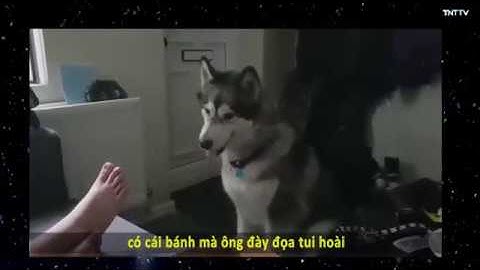 Thánh Lồng Tiếng | Lu đây ! Lu đây ! đang thể hiện độ Ngáo