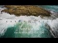 NONE LIKE YOU (Official Lyric Video)