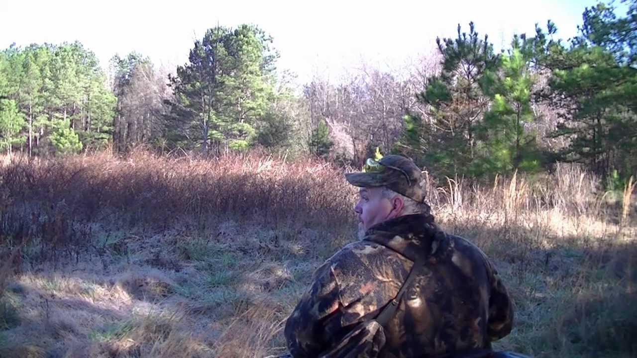 Good Old Fashioned Rabbit Hunt with Beagles! Part 2