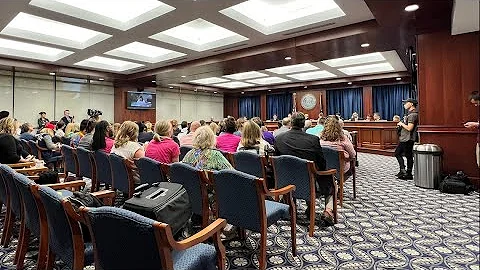 Board of State Canvassers considering abortion rights initiative