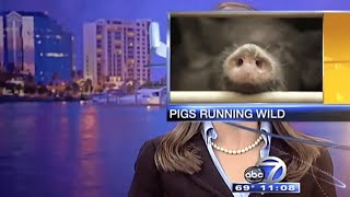 Fails of all time  Best TV News bloopers of the decade/ Creative