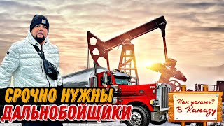 видео: РАБОТАЙ ДАЛЬНОБОЙЩИКОМ В КАНАДЕ И ПОЛУЧИ ДОКУМЕНТЫ картинка: РАБОТАЙ ДАЛЬНОБОЙЩИКОМ В КАНАДЕ И ПОЛУЧИ ДОКУМЕНТЫ