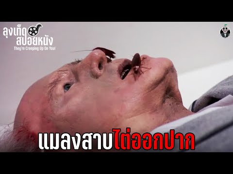 วีดีโอ: แมลงสาบและที่อยู่อาศัย