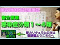 【衛生管理│感染症】１類〜　美容師国家試験筆記