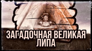 картинка: Великая Липа: усадьба, брама-конюшня и флигель!!!