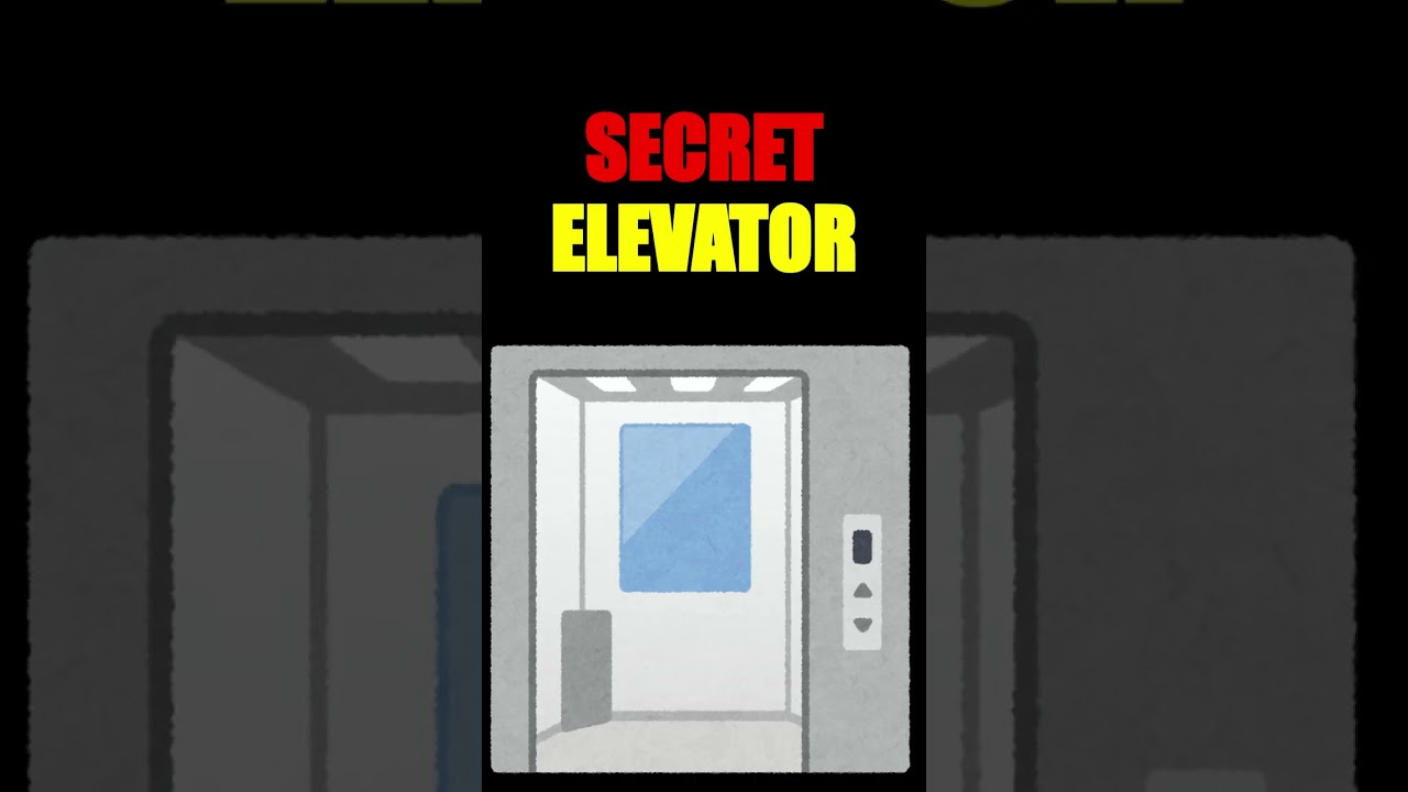 A Symphony of Pain: Lidia's Fast & Furious Elevator Adventure!