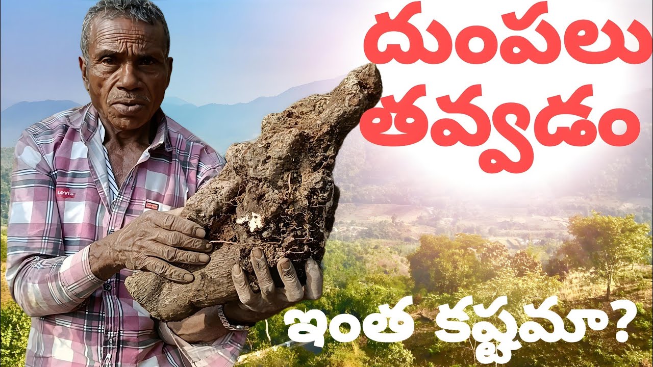 ఈ దుంప కోసం పడిన కష్టం చూడండి 😓 | Harder Than Expected 😬