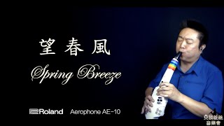 电吹管 萨克斯 望春风 Spring Breeze 安颐爸爸音乐会】Roland Aerophone AE10