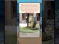 Traditional Giant Stone Wheels Grinding Organic Green Henna Leaves