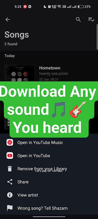 Unduh Suara atau Musik Apa Pun yang Anda Dengar – Mudah & Gratis!