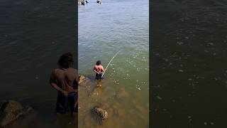 Amazing fishman කොහොමද මාලු       ඇල්ලිල්ල????  මීගමු පාලම යට shorts