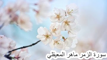 سورة الزمر ماهر المعيقليQURAN  Surat Az-Zumar